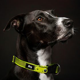   TICKLESS - JK9 nyakörv újratöthető ultrahangos kullancsriasztóval NEON